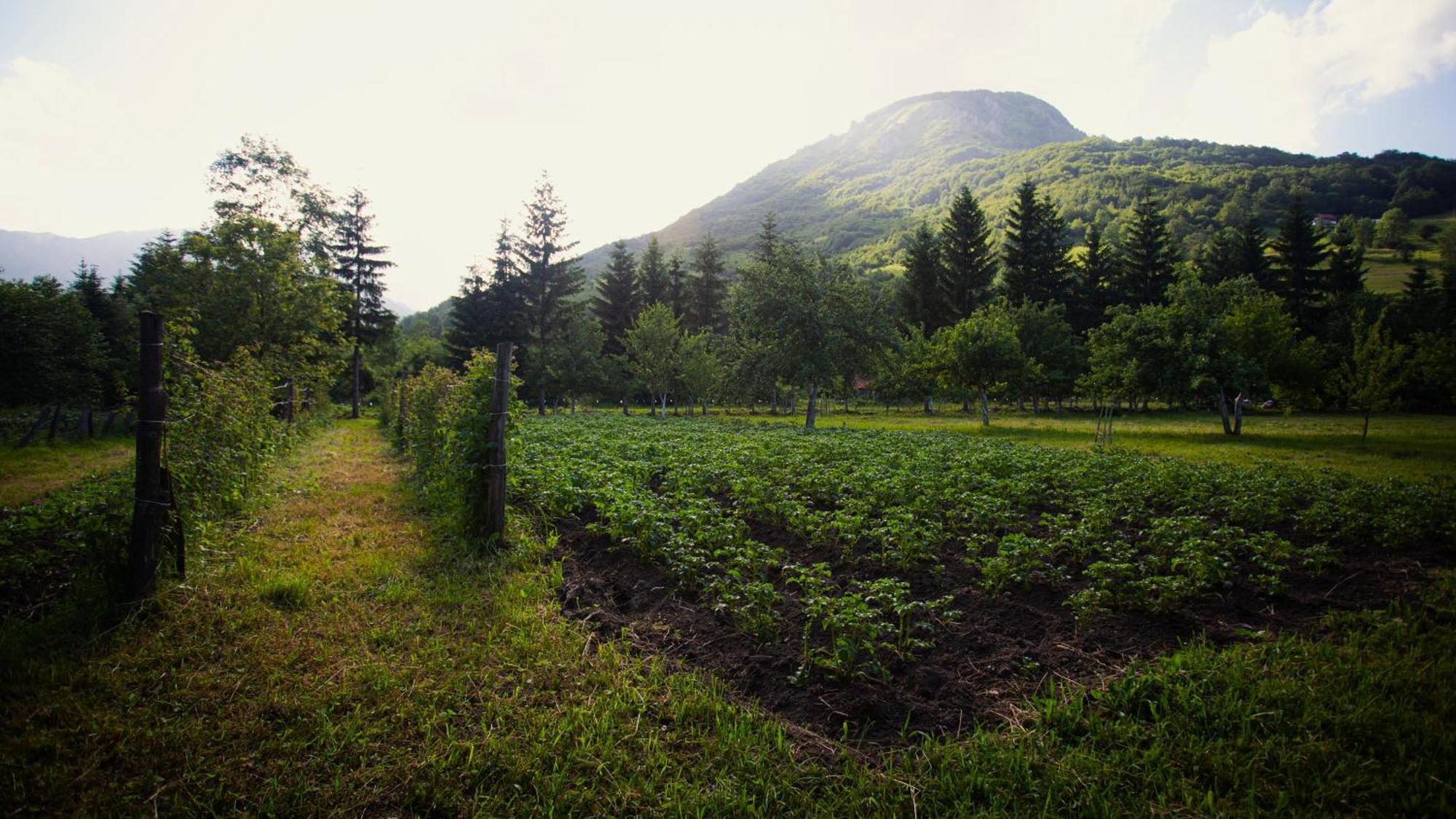 Ethno Village Stitarica Мойковац Екстер'єр фото