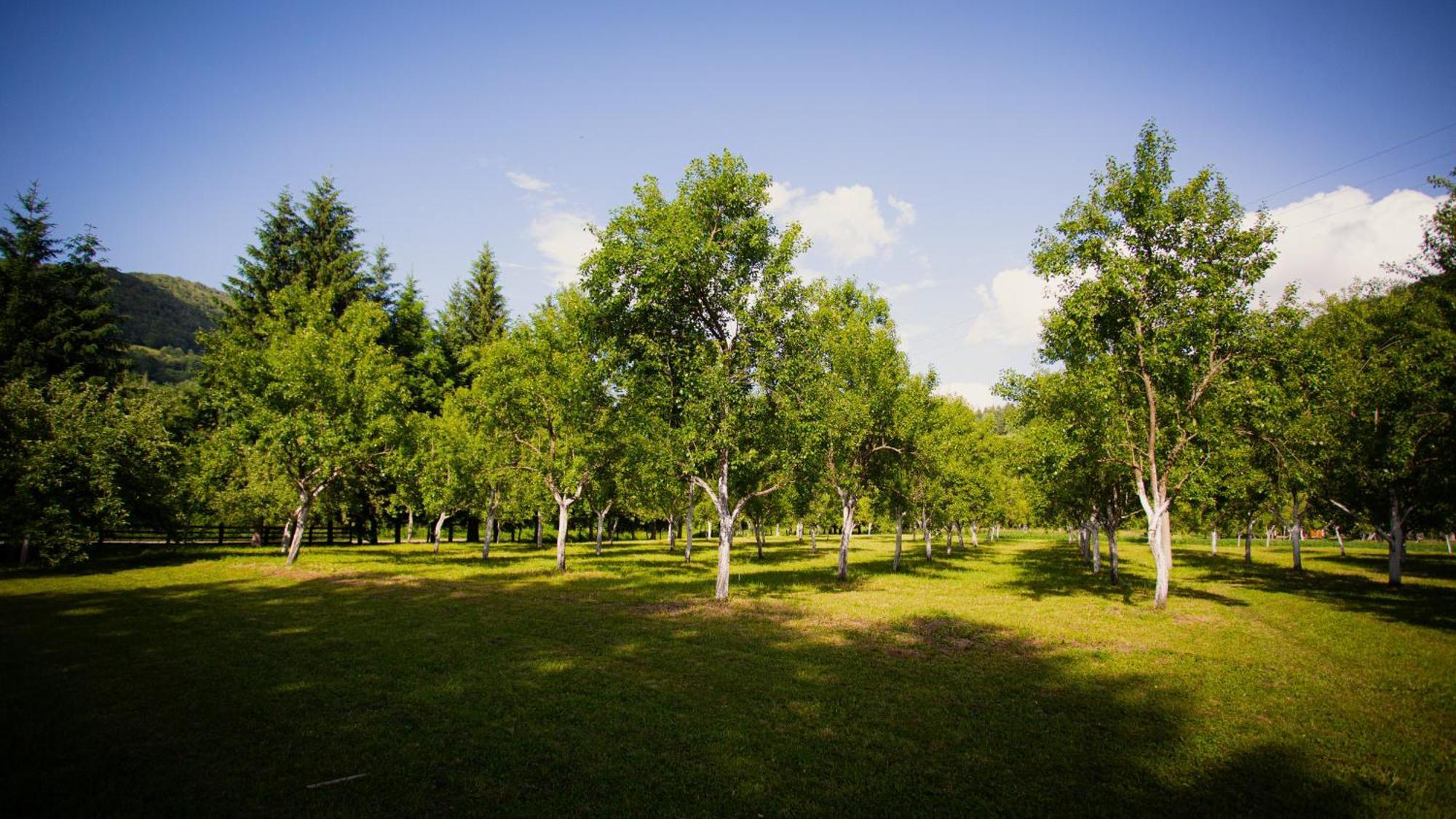 Ethno Village Stitarica Мойковац Екстер'єр фото