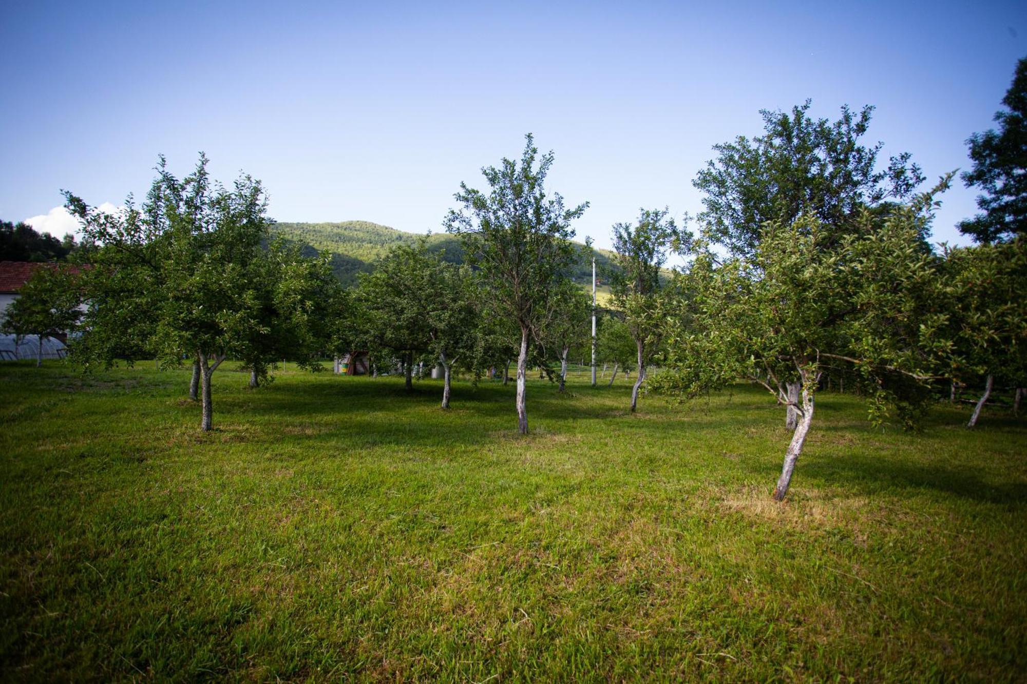 Ethno Village Stitarica Мойковац Екстер'єр фото